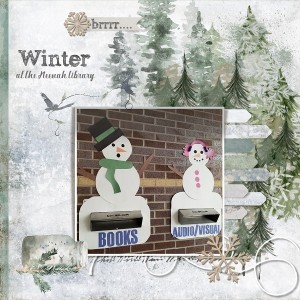 Winter At The Neenah Library