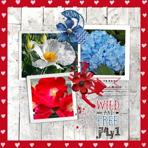 Slow Scrap 7-1_wildandfree