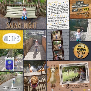 Safari Night