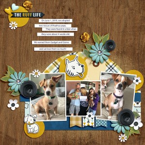 The Ruff Life - Journaling Challenge