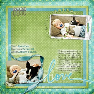 love between a dog and a boy
