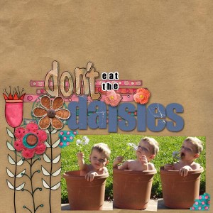Don't Eat the Daisies!