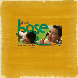 The Garden Hose
