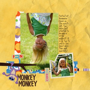 Monkey Monkey