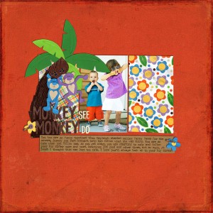 Monkey See Monkey Do
