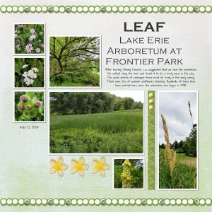 LEAF