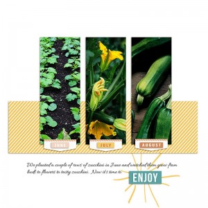 2019.08.01-zucchini