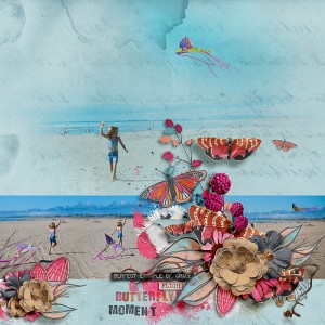 Butterfly Moment