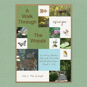 A Walk Through The Woods