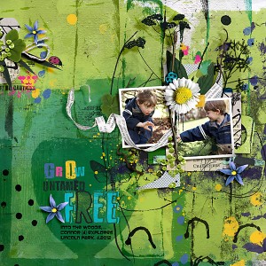 2012-Into-the-Woods-Connor