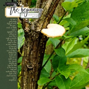 Sahin-Designs_2019-08_August_Day1_web