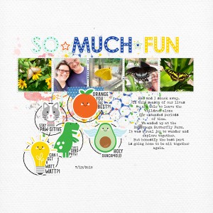 So * Much * Fun
