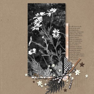 Sahin-Designs_2019-08_August_Day4_web