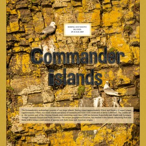 Commander Islands