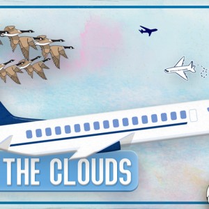 In-The-Clouds