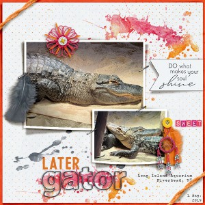 Later Gator