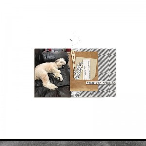 2019.07.07-Hanging-with-Murphy
