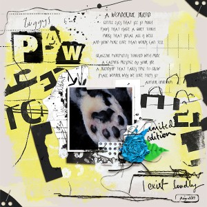 Ziggy's Paw