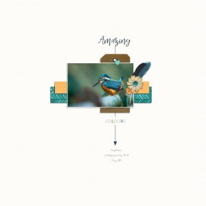 Kingfisher