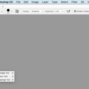 Screen Shot 2019-08-29 At 10.14.36 AM