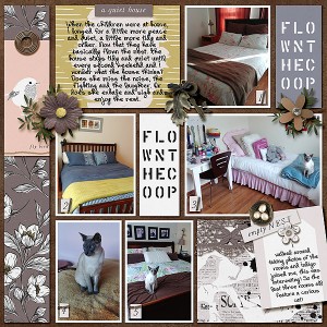 FlownCoop