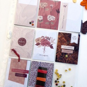 Cranberry pocketletter
