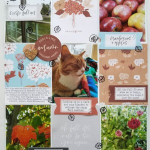 Sahin Designs Cranberry Collection