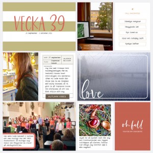 Week 39 2016