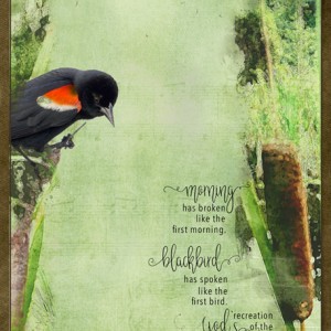 09-19_Vertical-Limit_Blackbird