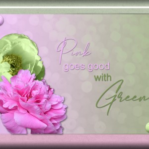 ATC-2019-113-Pink-&-Green