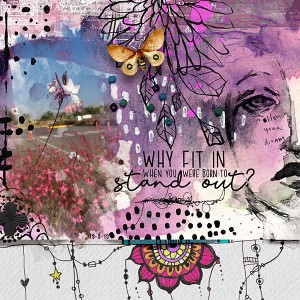 Why fit in...