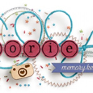 DSD Siggy Challenge