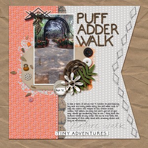 PuffAdderWalk