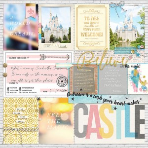 Cinderella's Castle