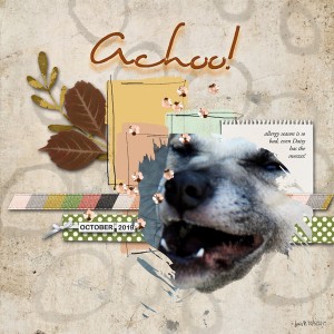 Slow Scrap 10-5_achoo