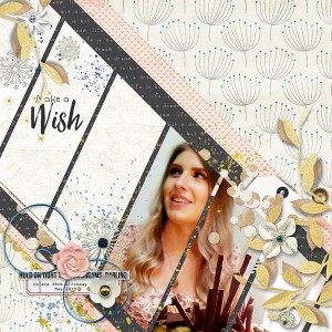 Make A Wish