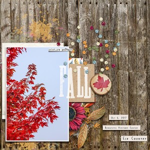 Fall