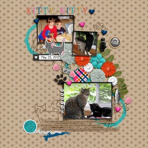 20120523 Kitty company