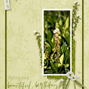 10-07-19_ChristaHost_Flower