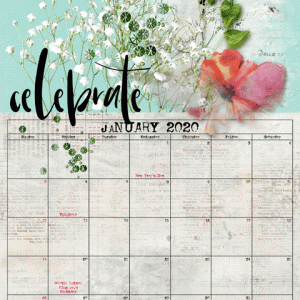 01-January