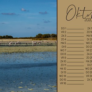 19-10_sc_photocase20_10oktober-copy