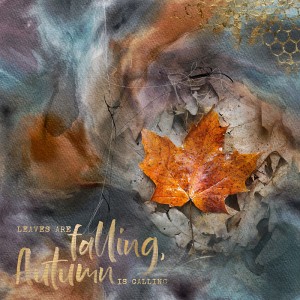 Leaves are falling