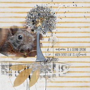Little Squirrel