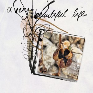 BeautifulLife