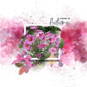 Inspiration Challenge