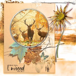 Pieces-of-Autumn