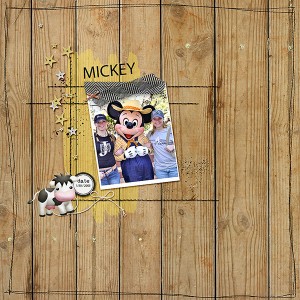 MICKEYWeb