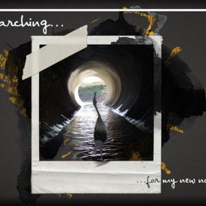 ATC-2019-124-Searching