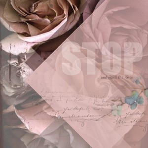Nov_Wk1_Stop-and-Smell-the-Roses