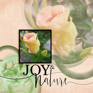 Nov/Dec Magic Lights Challenge - Joy and Nature